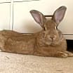 Thumbnail photo of Benjamin #1