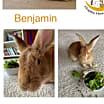 Thumbnail photo of Benjamin #2