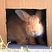 Thumbnail photo of Benjamin #4