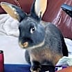 Thumbnail photo of Lafayette #1