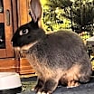Thumbnail photo of Lafayette #2