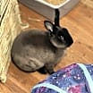 Thumbnail photo of Blake #1
