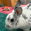 Thumbnail photo of Janice #2