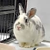 Thumbnail photo of Janice #4