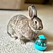 Thumbnail photo of Penny & Dolly #3