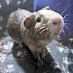 Thumbnail photo of Hudson #4