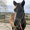 Thumbnail photo of Miss Grace #2