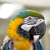 Thumbnail photo of Chubby #1