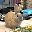 Thumbnail photo of BUFFY #2
