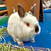 Thumbnail photo of Ella #1