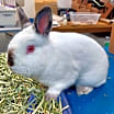 Thumbnail photo of Ella #2