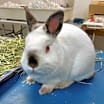 Thumbnail photo of Ella #3