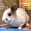 Thumbnail photo of Mary Hoppins #3