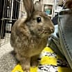 Thumbnail photo of Oliver #4