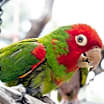 Thumbnail photo of Adrian #2