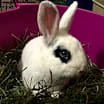 Thumbnail photo of Gatsby #1