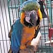 Thumbnail photo of Alex #4