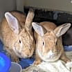 Thumbnail photo of Delia #1