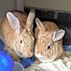 Thumbnail photo of Delia #3