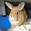Thumbnail photo of Delia #2