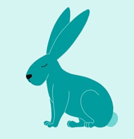 Photo of BUN