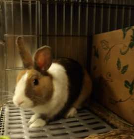 Photo of ERNIE