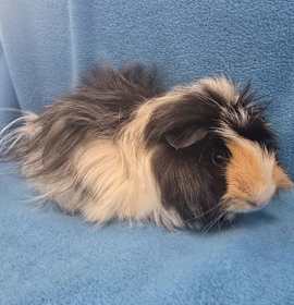 Photo of Lorelai & Luke