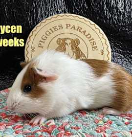 Photo of Brycen & Graham