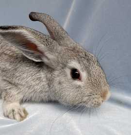 Photo of Willie Bunson