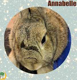 Photo of Annabelle
