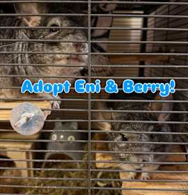 Photo of Eni & Berry BONDED