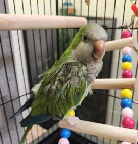 Photo of Gerald AKA Jerry