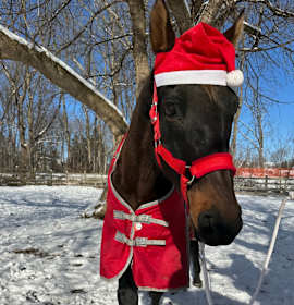 Photo of Jasmine - We Will Dance