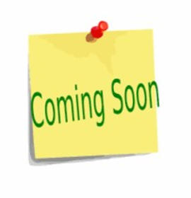 Photo of Princess Daisy & Luigi