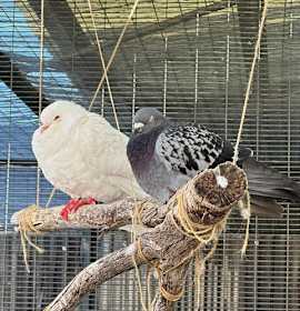 Photo of Wink & Justin