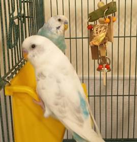 Photo of Mimi & Stormy