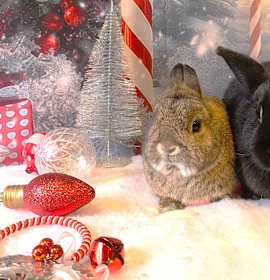 Photo of Butters & Toast