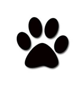 Photo of Wedding Cake