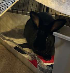 Photo of Los Angeles