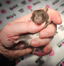 Photo of Dr Emergency