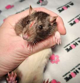 Photo of Madam Spreadsheet