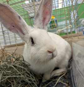 Photo of Bun Stiller