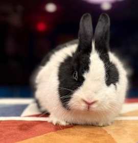 Photo of Hayward mom #1 Ellie