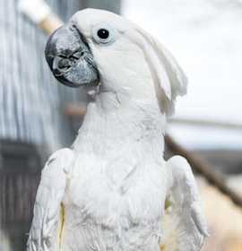 Photo of Ed Aka Fred