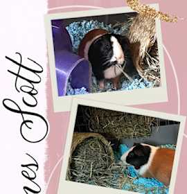 Photo of Agnes Scott