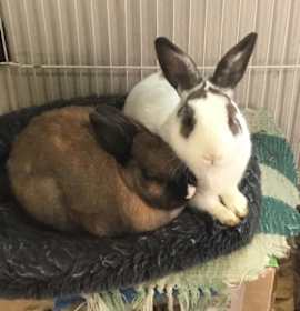 Photo of Melba & Mel