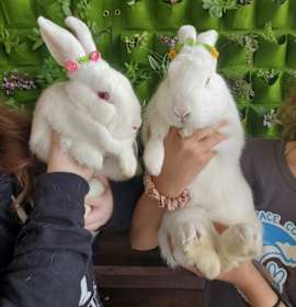 Photo of Prince and Belle