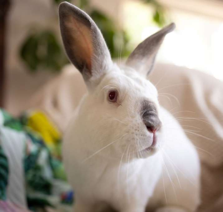 Photo of May