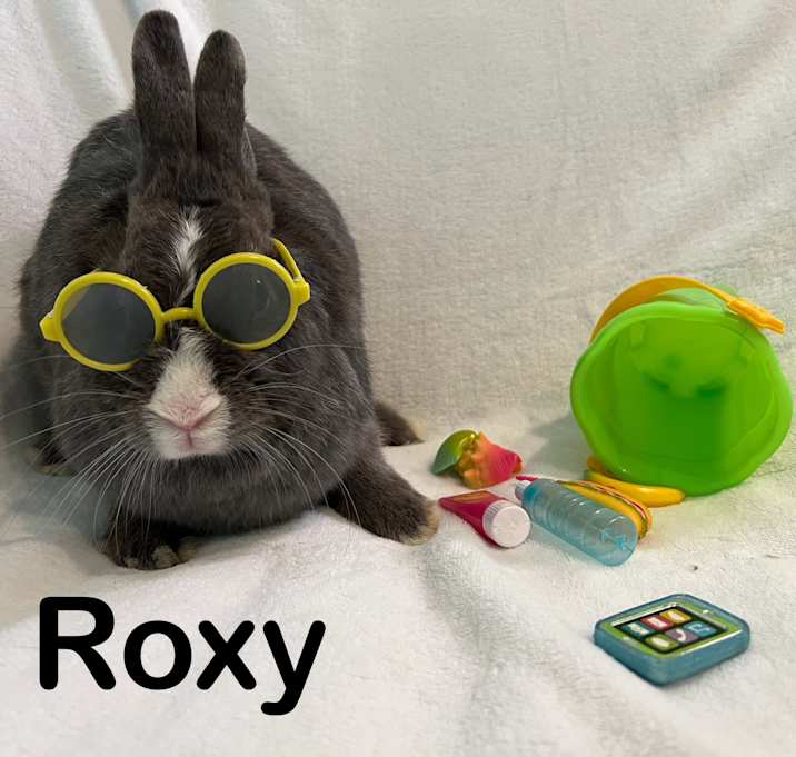 Photo of Roxy