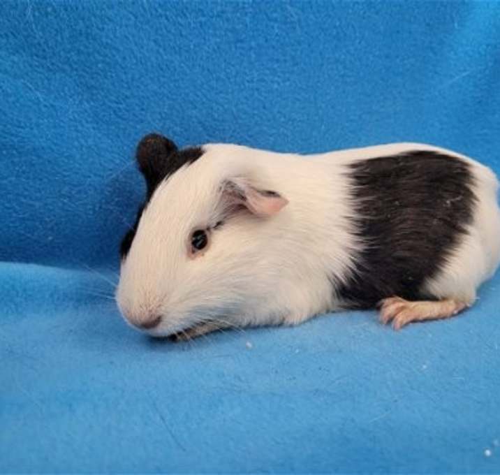 Photo of Luigi